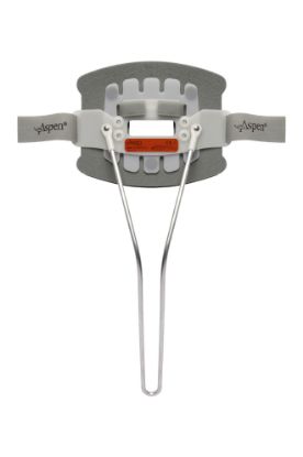 Picture of Aspen® CTO BACK PANEL